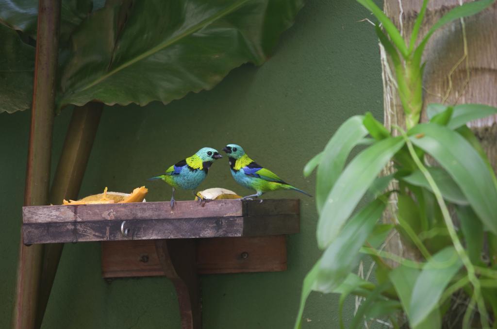 Pousada Refugio Tropical Parati Esterno foto
